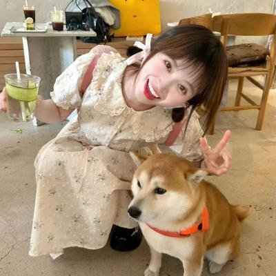蛮好侦探